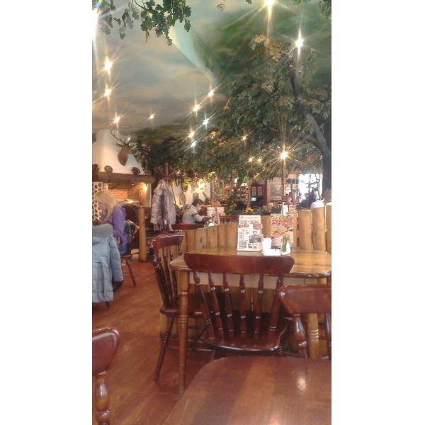 Ресторанный сервис бронирования столиков menu-rest.com - Интерьер ресторана "Ёлки-Палки"