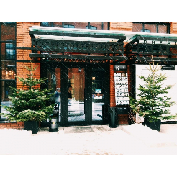 Ресторанный сервис бронирования столиков menu-rest.com - Интерьер ресторана "Mary Jane"