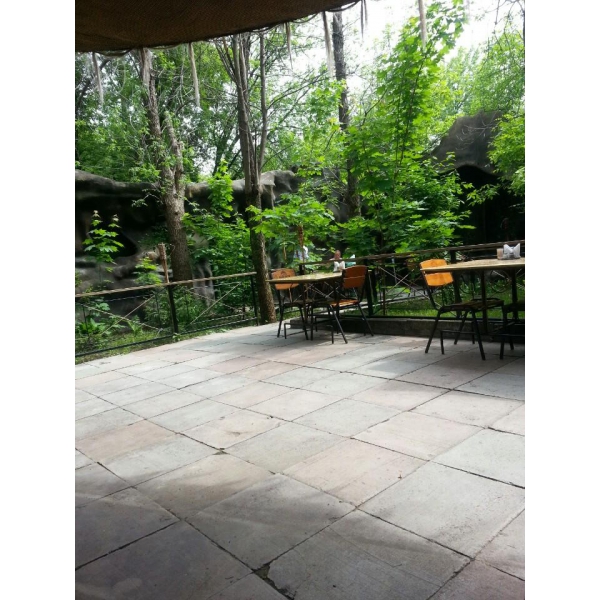 Ресторанный сервис бронирования столиков menu-rest.com - Интерьер ресторана "STADIUM"