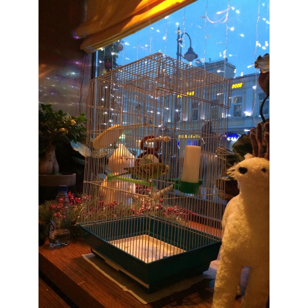 Ресторанный сервис бронирования столиков menu-rest.com - Интерьер ресторана "Мама Тао"