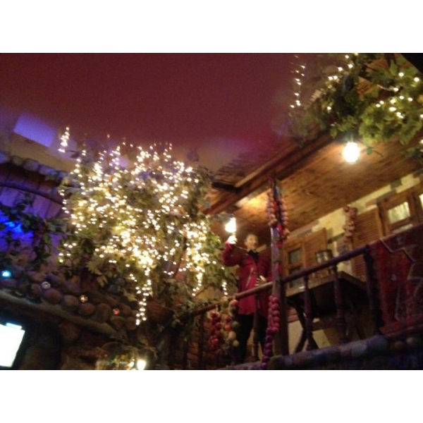 Ресторанный сервис бронирования столиков menu-rest.com - Интерьер ресторана "Тамада"