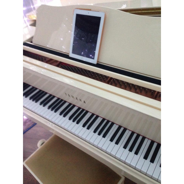 Ресторанный сервис бронирования столиков menu-rest.com - Интерьер ресторана "Gotinaza"