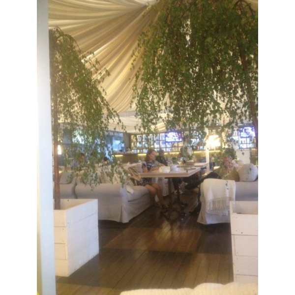 Ресторанный сервис бронирования столиков menu-rest.com - Интерьер ресторана "Гуси Лебеди"