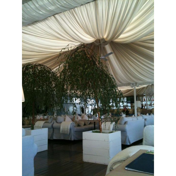 Ресторанный сервис бронирования столиков menu-rest.com - Интерьер ресторана "Гуси Лебеди"