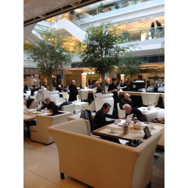 Ресторанный сервис бронирования столиков menu-rest.com - Интерьер ресторана "Clumba Club"