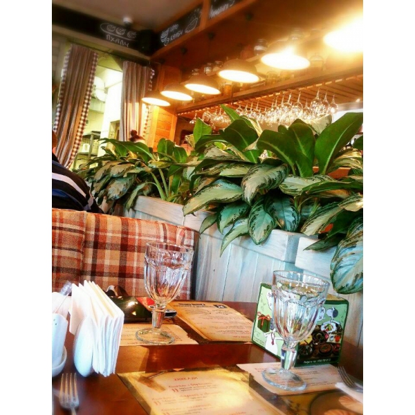 Ресторанный сервис бронирования столиков menu-rest.com - Интерьер ресторана "Джон Джоли"