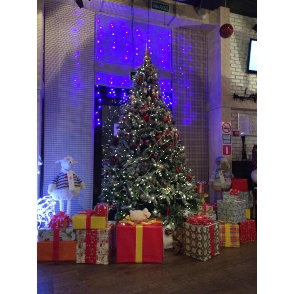 Ресторанный сервис бронирования столиков menu-rest.com - Интерьер ресторана "Рони Макарони"