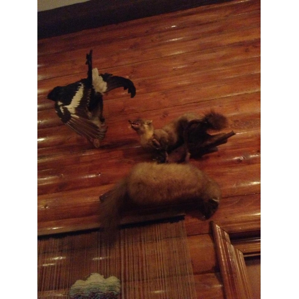 Ресторанный сервис бронирования столиков menu-rest.com - Интерьер ресторана "Гурия"