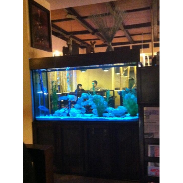 Ресторанный сервис бронирования столиков menu-rest.com - Интерьер ресторана "Нэцкэ"