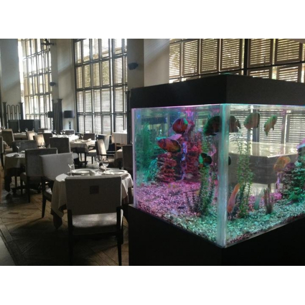 Ресторанный сервис бронирования столиков menu-rest.com - Интерьер ресторана "G.Graf"