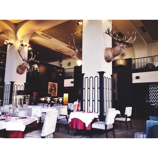 Ресторанный сервис бронирования столиков menu-rest.com - Интерьер ресторана "G.Graf"