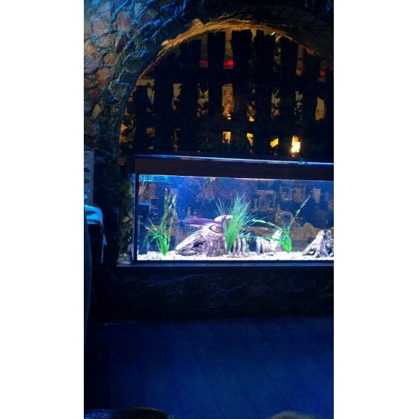 Ресторанный сервис бронирования столиков menu-rest.com - Интерьер ресторана "Водопад"