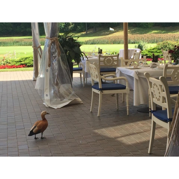 Ресторанный сервис бронирования столиков menu-rest.com - Интерьер ресторана "Village Kitchen"