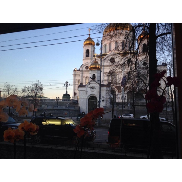 Ресторанный сервис бронирования столиков menu-rest.com - Интерьер ресторана "Yoko"