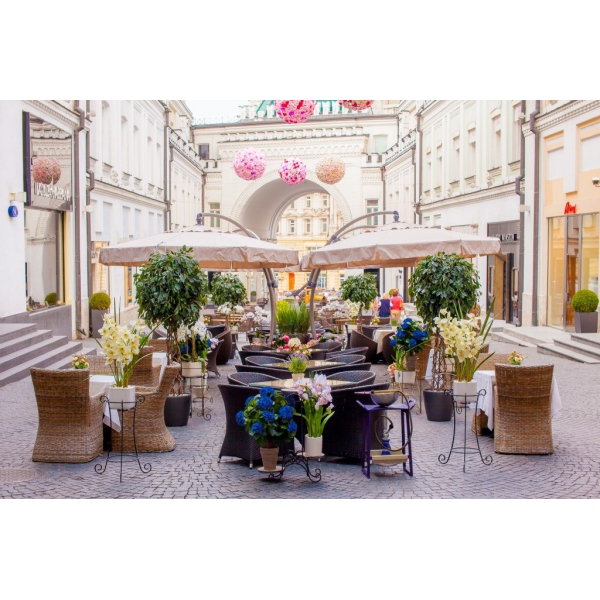 Ресторанный сервис бронирования столиков menu-rest.com - Интерьер ресторана "Romanov Bar"