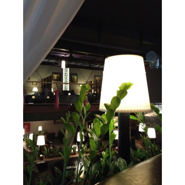 Ресторанный сервис бронирования столиков menu-rest.com - Интерьер ресторана "Star Lounge"