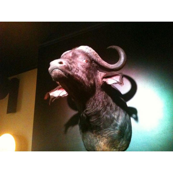 Ресторанный сервис бронирования столиков menu-rest.com - Интерьер ресторана "Буффало"