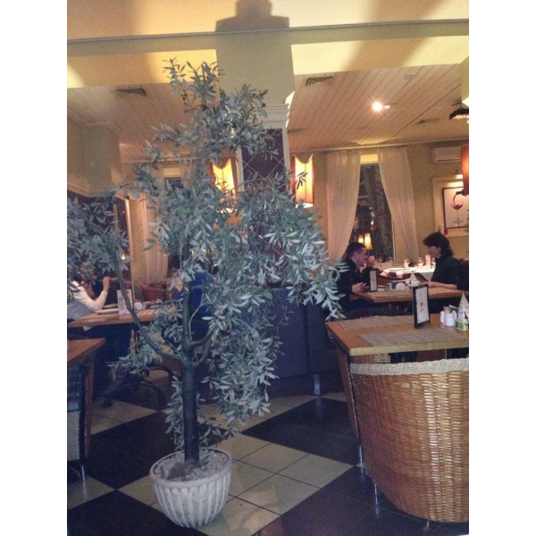 Ресторанный сервис бронирования столиков menu-rest.com - Интерьер ресторана "Лапша и рис"