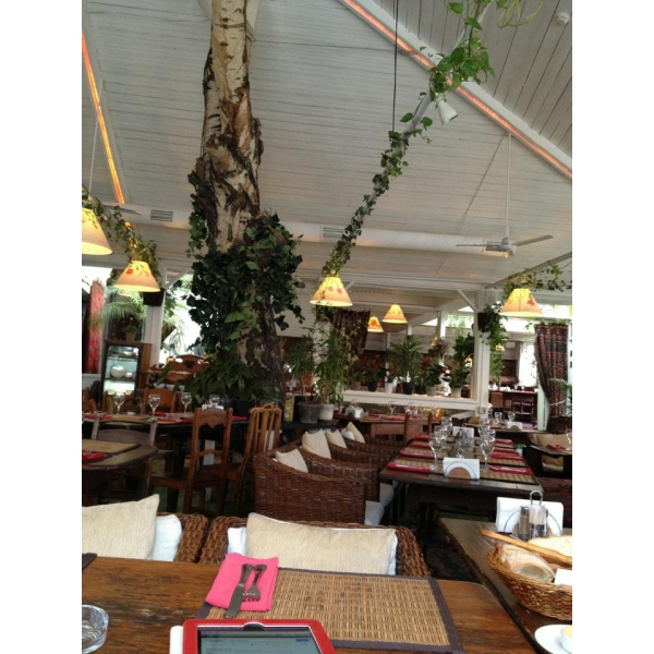 Ресторанный сервис бронирования столиков menu-rest.com - Интерьер ресторана "Веранда у Дачи"