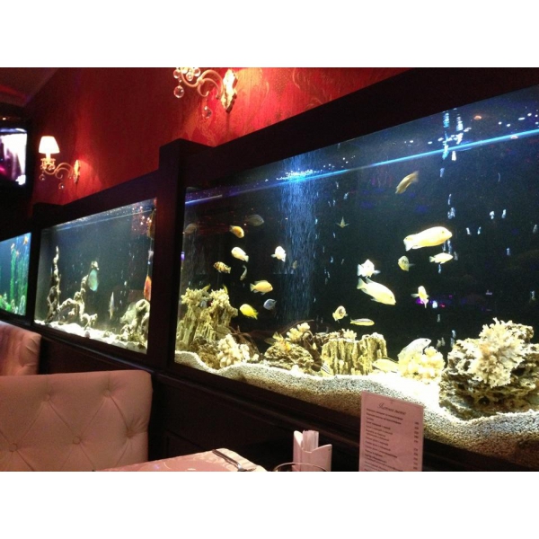 Ресторанный сервис бронирования столиков menu-rest.com - Интерьер ресторана "ЕВА"