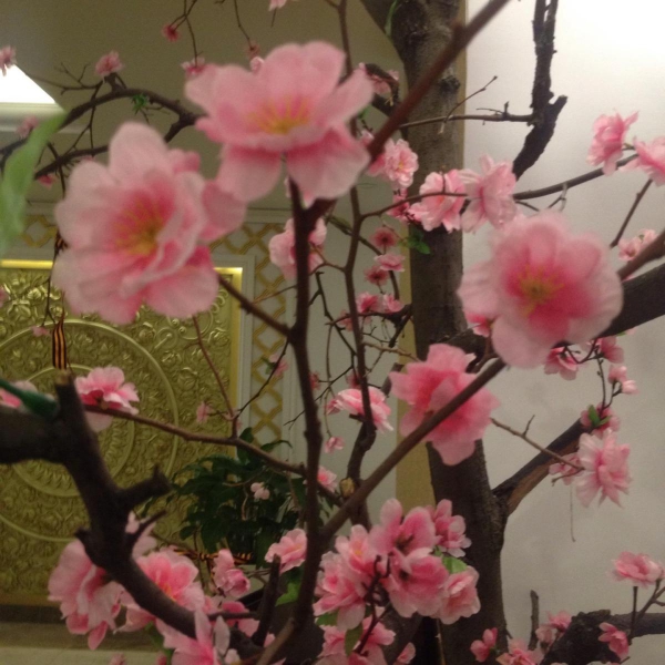 Ресторанный сервис бронирования столиков menu-rest.com - Интерьер ресторана "Viet Soul"