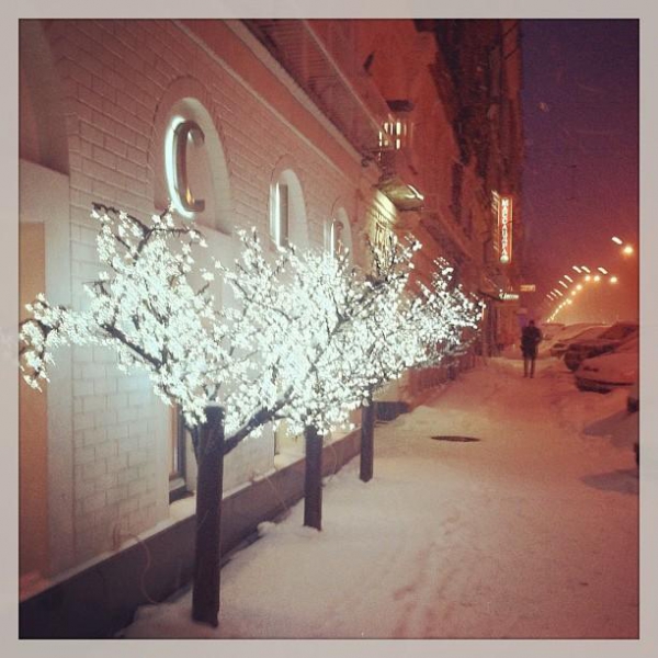 Ресторанный сервис бронирования столиков menu-rest.com - Интерьер ресторана "Ecle"