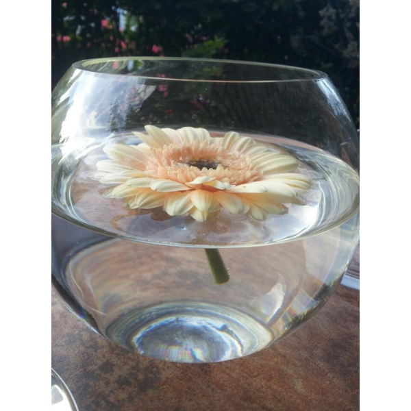 Ресторанный сервис бронирования столиков menu-rest.com - Интерьер ресторана "Глазурь"