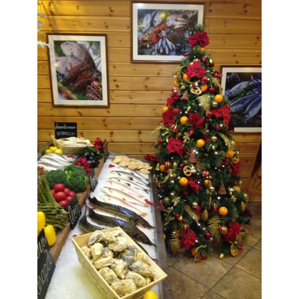 Ресторанный сервис бронирования столиков menu-rest.com - Интерьер ресторана "Fish point"