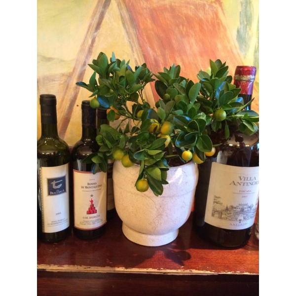 Ресторанный сервис бронирования столиков menu-rest.com - Интерьер ресторана "Casa Mia"