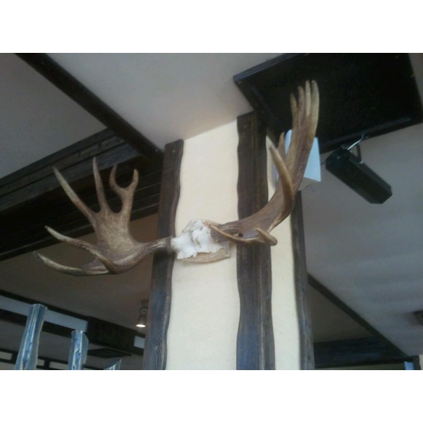 Ресторанный сервис бронирования столиков menu-rest.com - Интерьер ресторана "Русская охота"