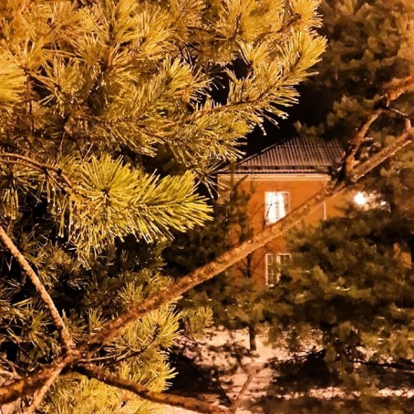 Ресторанный сервис бронирования столиков menu-rest.com - Интерьер ресторана "Голицын клуб"