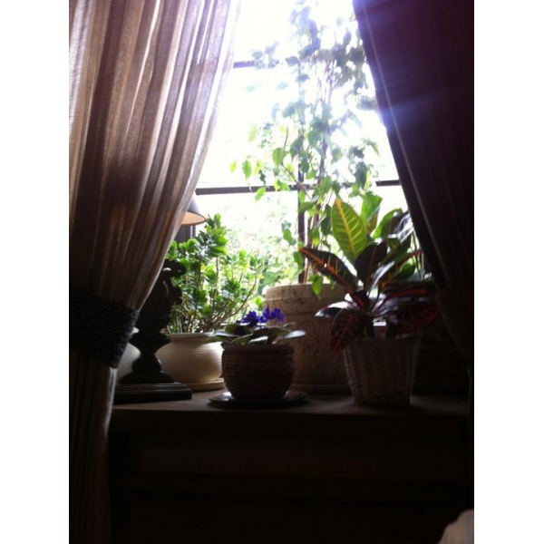 Ресторанный сервис бронирования столиков menu-rest.com - Интерьер ресторана "Тинатин"