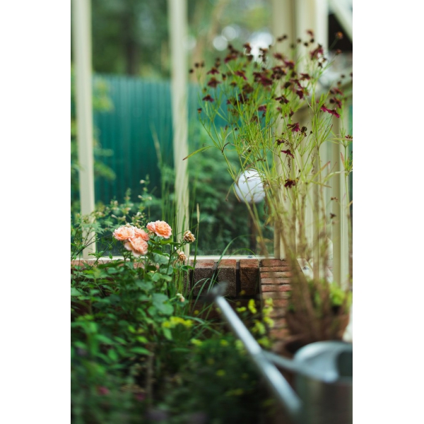 Ресторанный сервис бронирования столиков menu-rest.com - Интерьер ресторана "Wright Brothers"