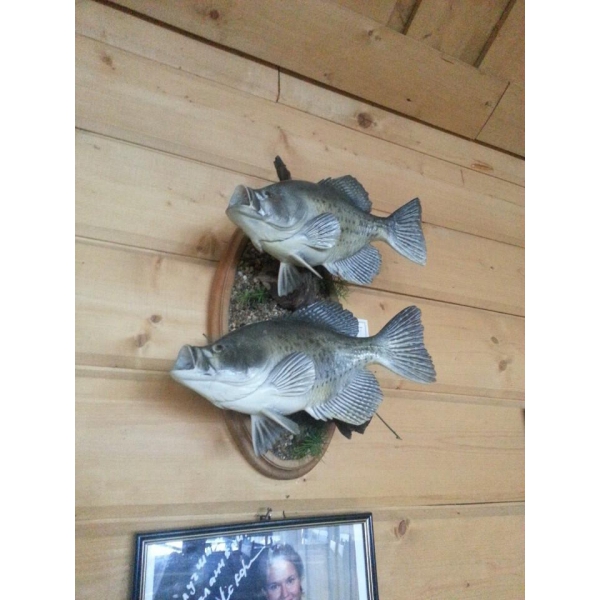 Ресторанный сервис бронирования столиков menu-rest.com - Интерьер ресторана "Рыбацкая деревня"