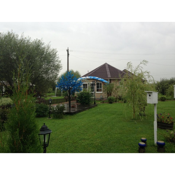 Ресторанный сервис бронирования столиков menu-rest.com - Интерьер ресторана "Залесье"