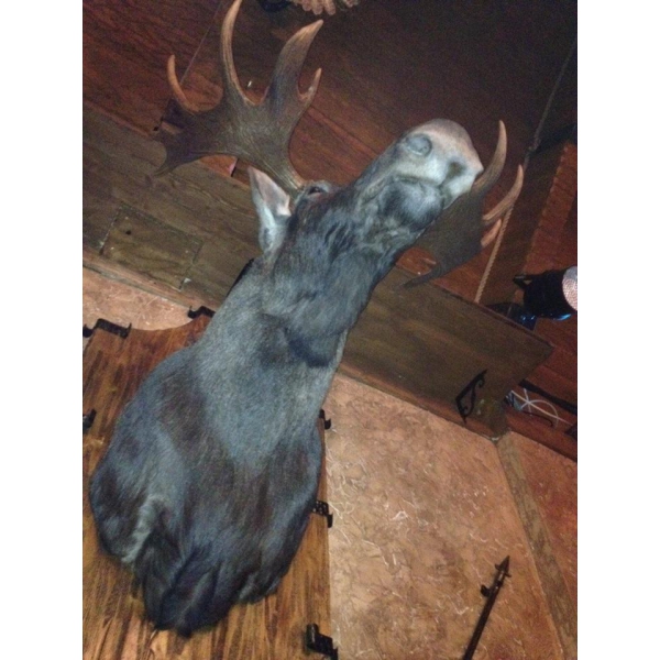 Ресторанный сервис бронирования столиков menu-rest.com - Интерьер ресторана "Охотники на привале"