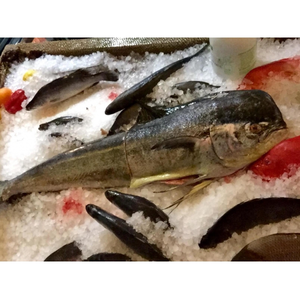 Ресторанный сервис бронирования столиков menu-rest.com - Интерьер ресторана "Porto Maltese"