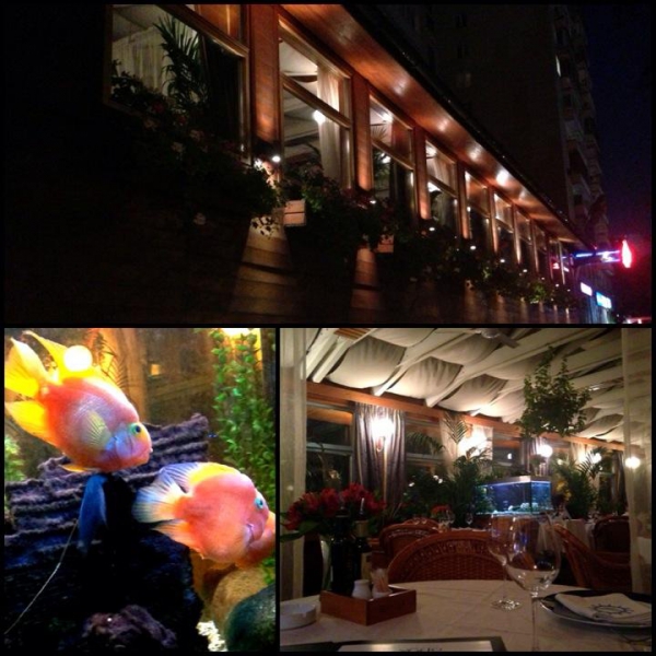 Ресторанный сервис бронирования столиков menu-rest.com - Интерьер ресторана "Анджело"