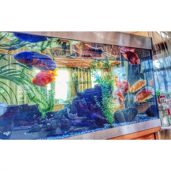 Ресторанный сервис бронирования столиков menu-rest.com - Интерьер ресторана "Анджело"