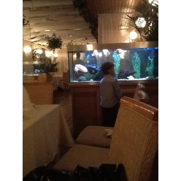 Ресторанный сервис бронирования столиков menu-rest.com - Интерьер ресторана "Анджело"