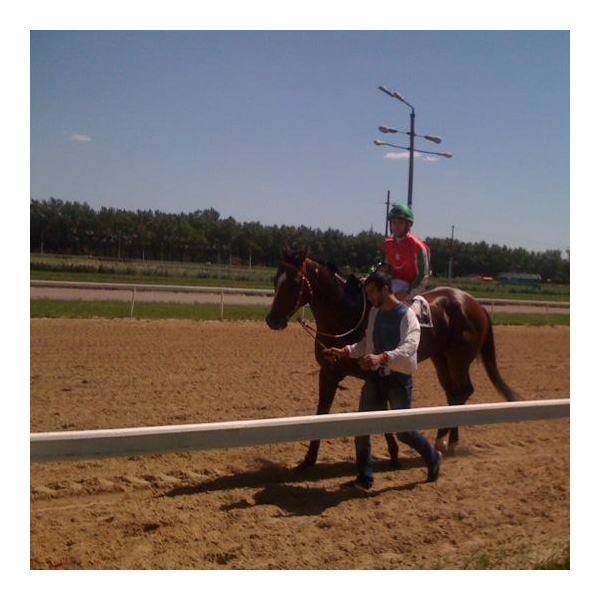 Ресторанный сервис бронирования столиков menu-rest.com - Интерьер ресторана "Ипподром"