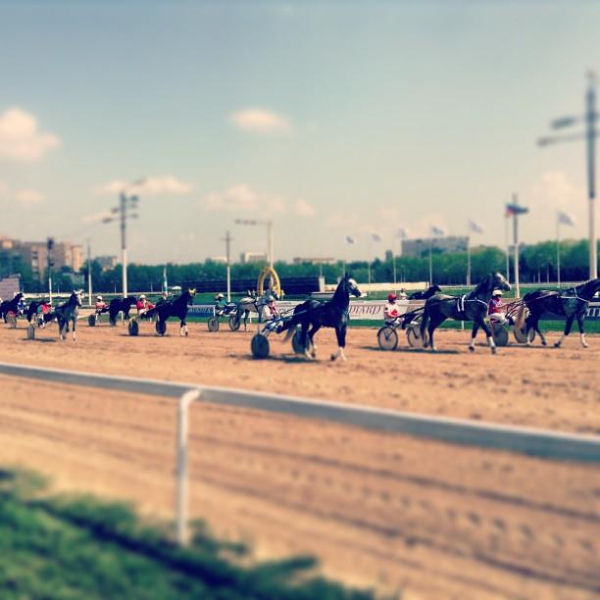 Ресторанный сервис бронирования столиков menu-rest.com - Интерьер ресторана "Ипподром"