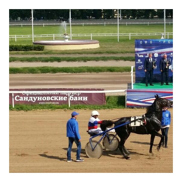 Ресторанный сервис бронирования столиков menu-rest.com - Интерьер ресторана "Ипподром"