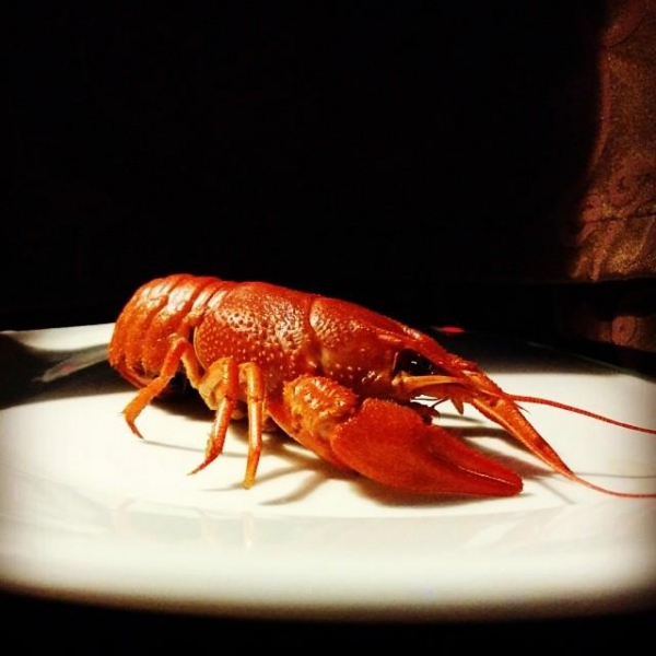 Ресторанный сервис бронирования столиков menu-rest.com - Интерьер ресторана "Истра"