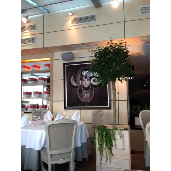 Ресторанный сервис бронирования столиков menu-rest.com - Интерьер ресторана "beefbar"