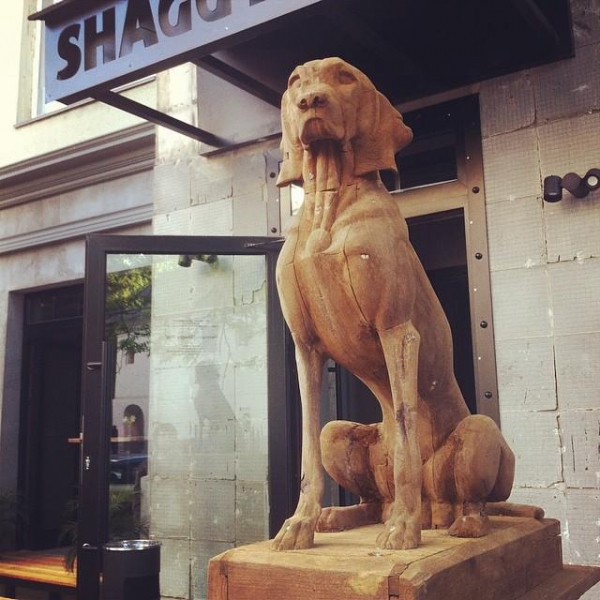 Ресторанный сервис бронирования столиков menu-rest.com - Интерьер ресторана "Shaggy Dog"