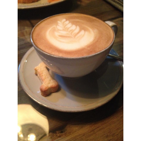 Ресторанный сервис бронирования столиков menu-rest.com - Интерьер ресторана "Shaggy Dog"