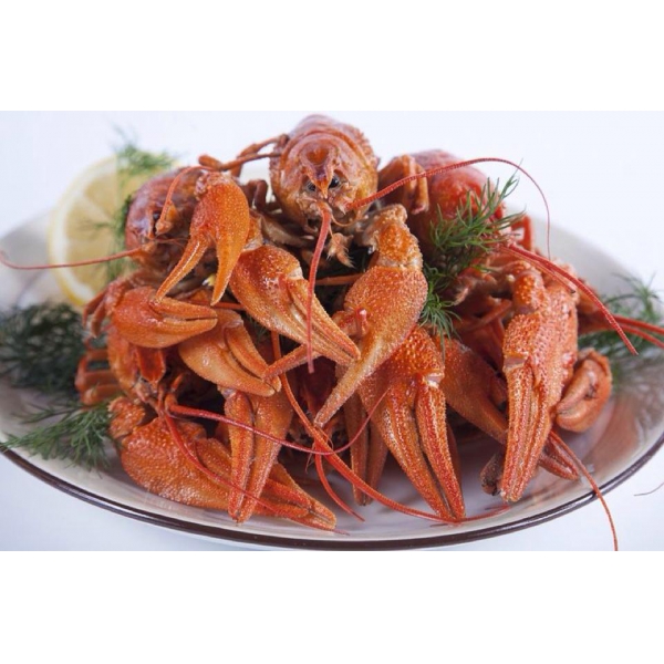 Ресторанный сервис бронирования столиков menu-rest.com - Интерьер ресторана "Братья МО"