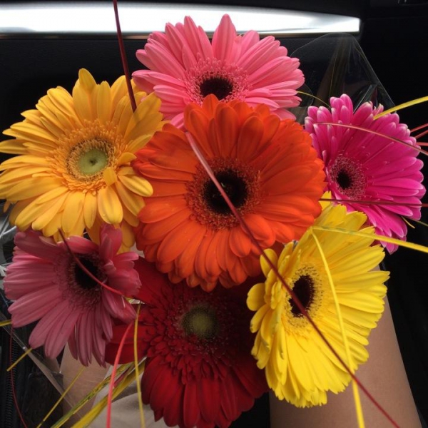 Ресторанный сервис бронирования столиков menu-rest.com - Интерьер ресторана "ЗОЛОТАЯ РЫБКА"