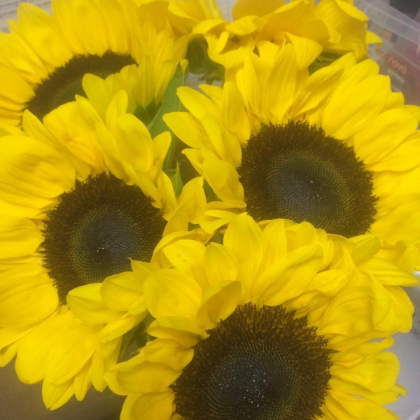 Ресторанный сервис бронирования столиков menu-rest.com - Интерьер ресторана "Верещагин"